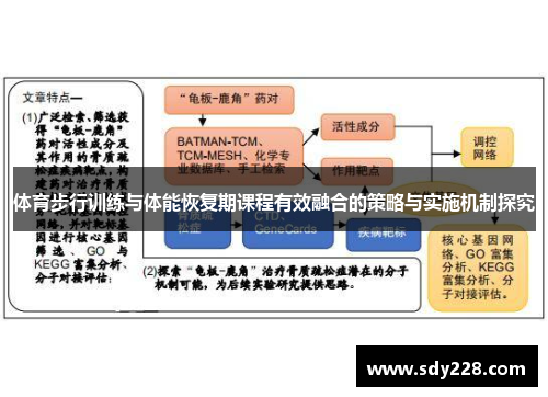 体育步行训练与体能恢复期课程有效融合的策略与实施机制探究