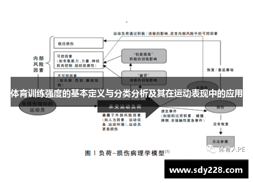 体育训练强度的基本定义与分类分析及其在运动表现中的应用